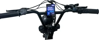 26" Fat Tire Muscle eBike
