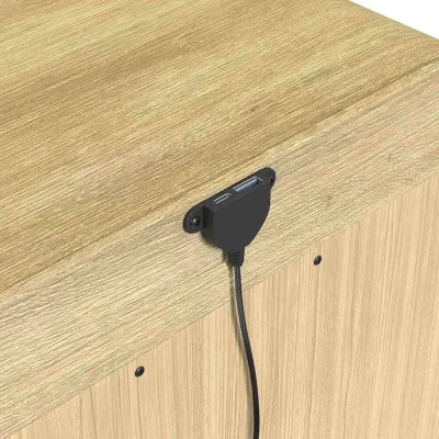 Szafka nocna Ridgemont z 2 szufladami i USB – naturalna