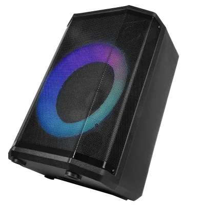 Coluna Bluetooth portátil de 8" com True Wireless Stereo