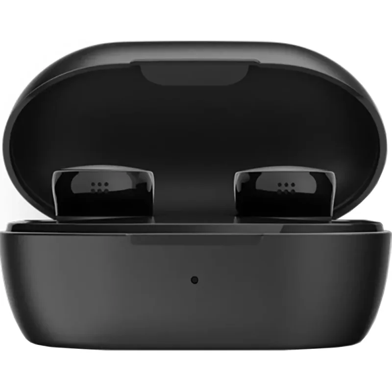 QuietComfort sorte earbuds