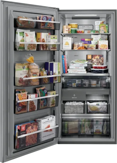 19 Cu Ft Einzeltür-Gefrierschrank